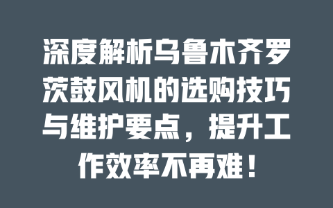 深度解析烏魯木齊羅茨鼓風(fēng)機(jī)的選購(gòu)技巧與維護(hù)要點(diǎn)，提升工作效率不再難！ 一