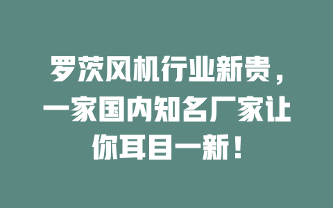 羅茨風機行業(yè)新貴，一家國內(nèi)知名廠家讓你耳目一新！ 一