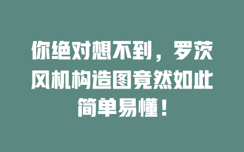 你絕對想不到，羅茨風(fēng)機構(gòu)造圖竟然如此簡單易懂！ 一