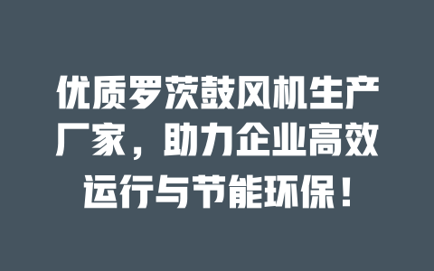 優(yōu)質(zhì)羅茨鼓風(fēng)機(jī)生產(chǎn)廠家，助力企業(yè)高效運(yùn)行與節(jié)能環(huán)保！ 一