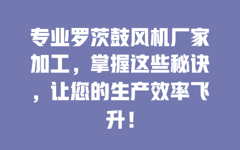 專業(yè)羅茨鼓風(fēng)機(jī)廠家加工，掌握這些秘訣，讓您的生產(chǎn)效率飛升！ 一